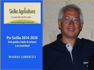 PSR Pubblicita e-book - Copia